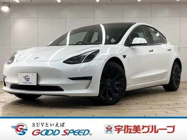 Tesla Model 3 LONG RANGE AWD 2022 — фото 1, купить с доставкой в Москву