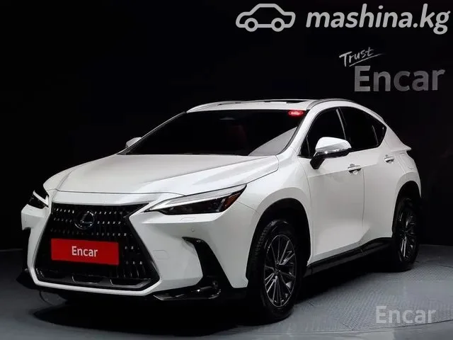 Lexus NX 2024 — фото 1, купить с доставкой в Москву