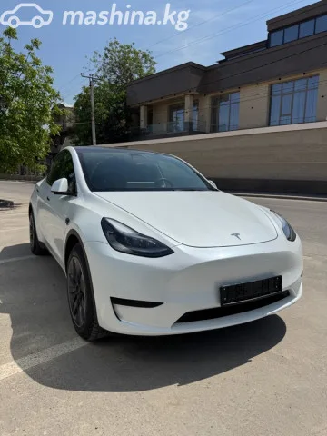 Tesla Model Y 2023 — фото 1, купить с доставкой в Москву