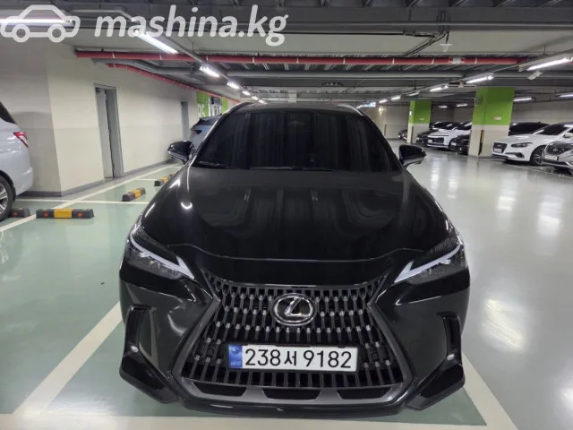 Lexus NX 2024 — фото 1, купить с доставкой в Москву