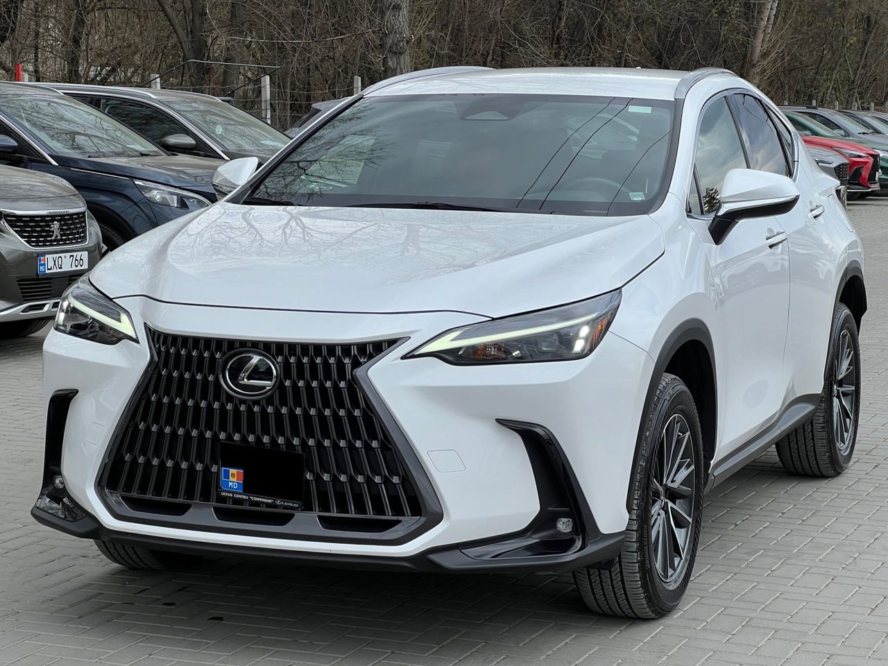 Lexus NX series 2023