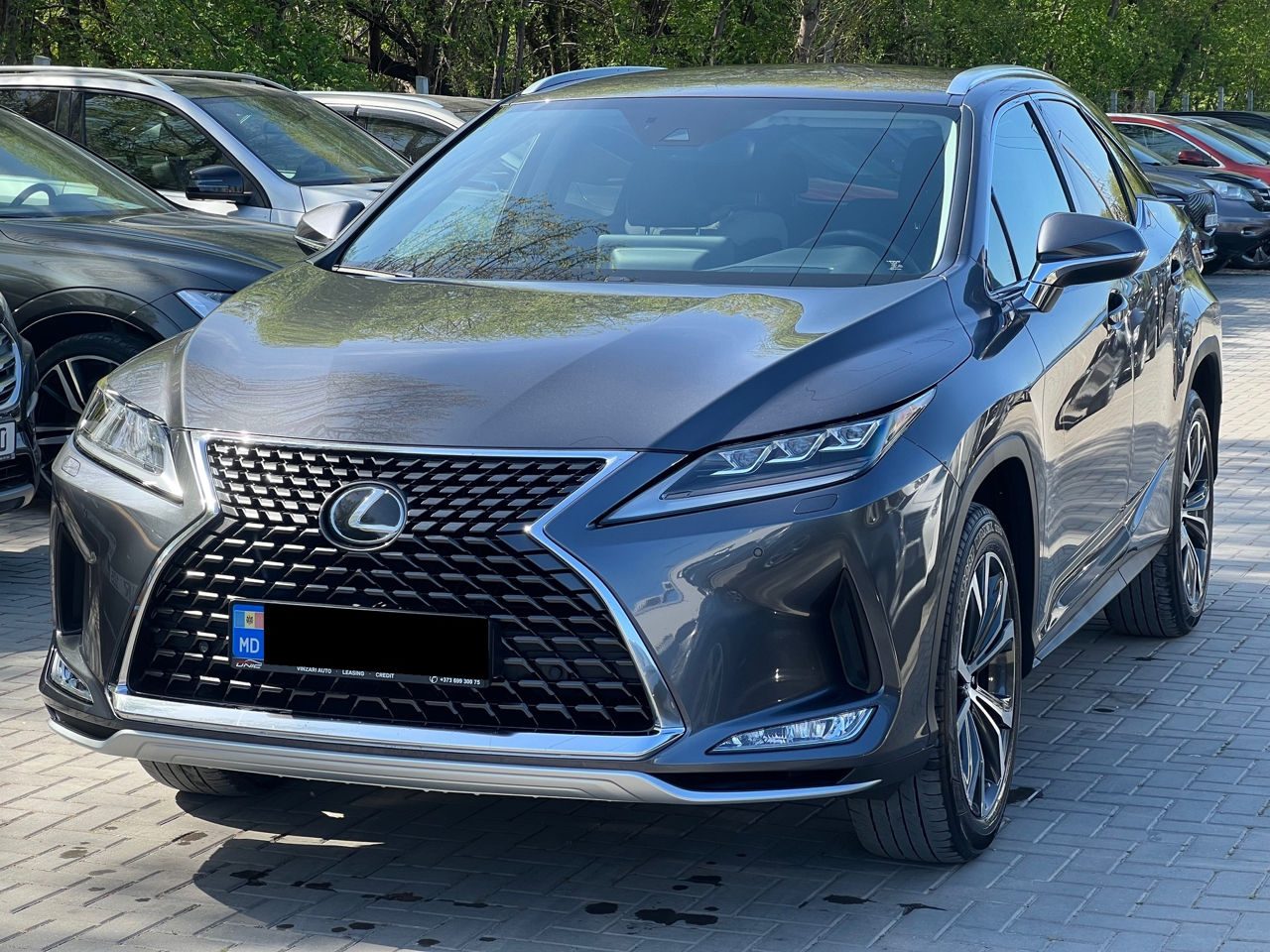 Lexus RX series 2022