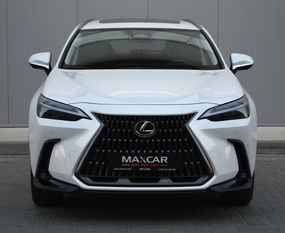 Lexus NX series 2024 — фото 1, купить с доставкой в Москву