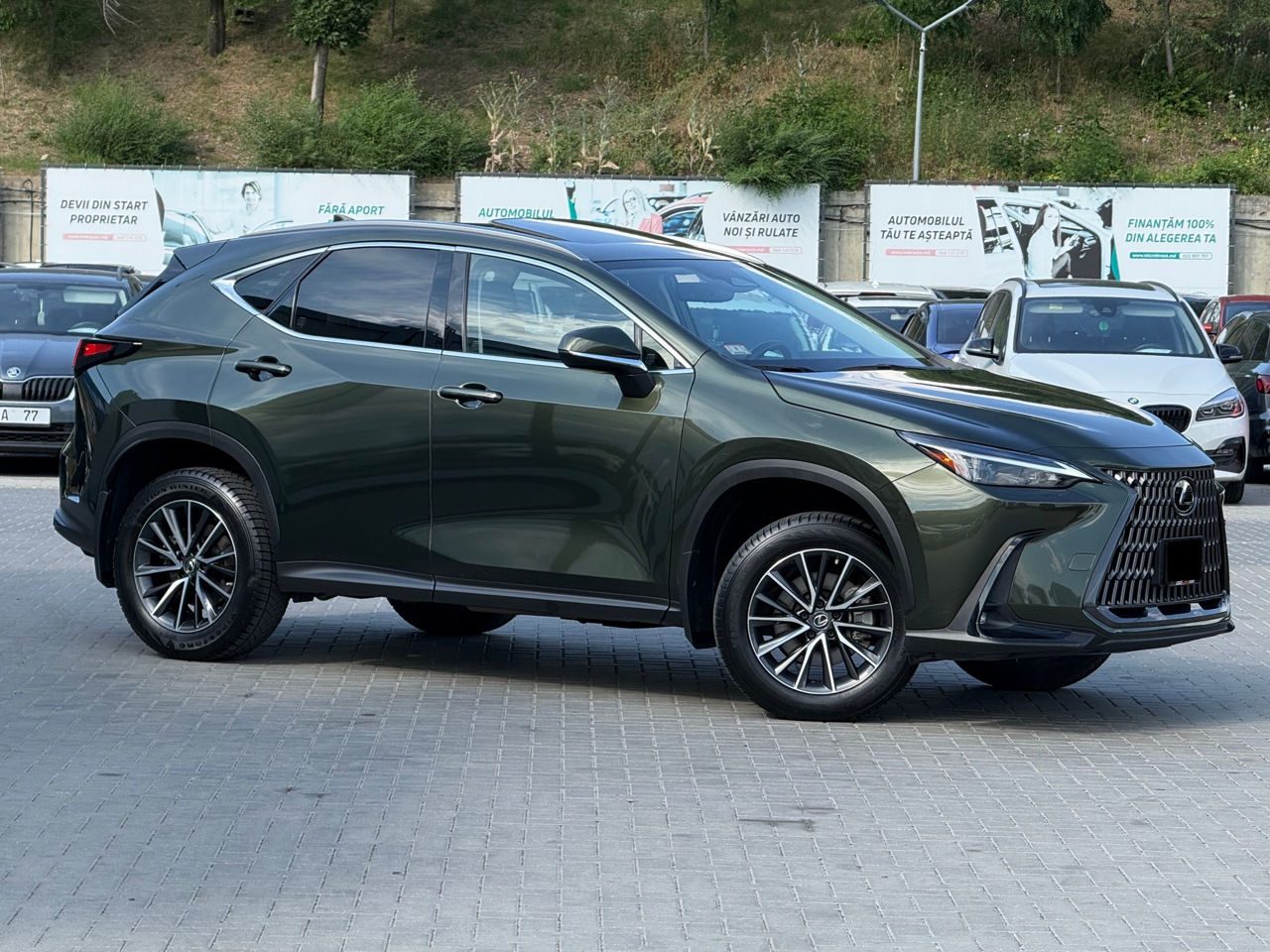 Lexus NX series 2022