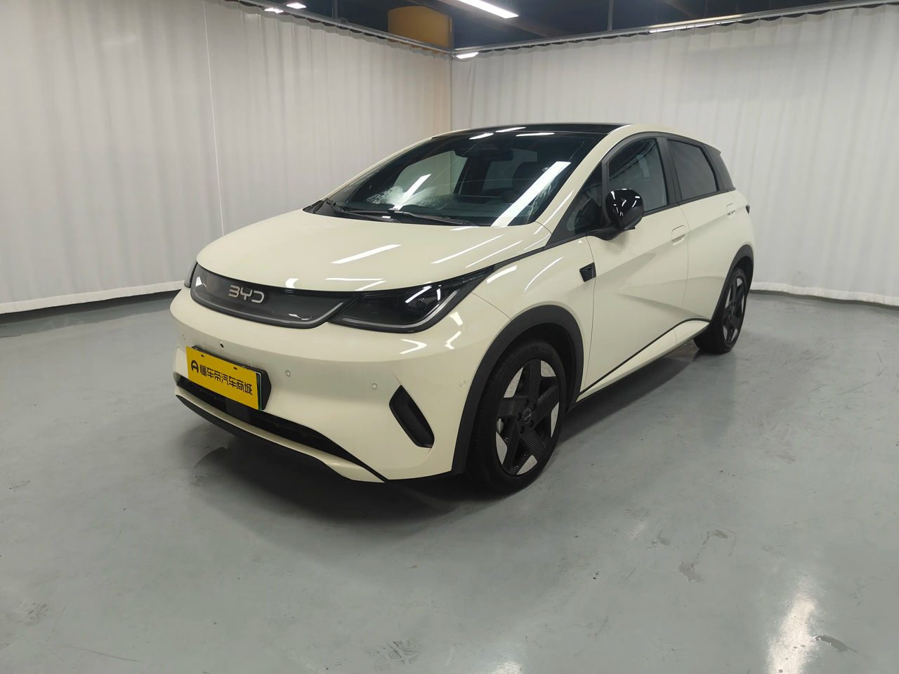 BYD Dolphin 2025