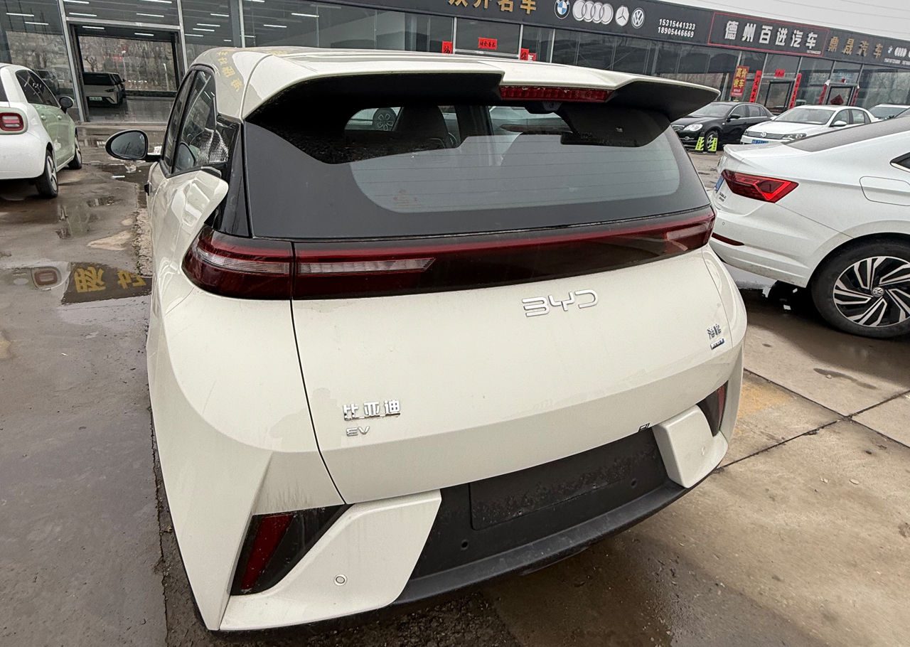 BYD Seagull 2025