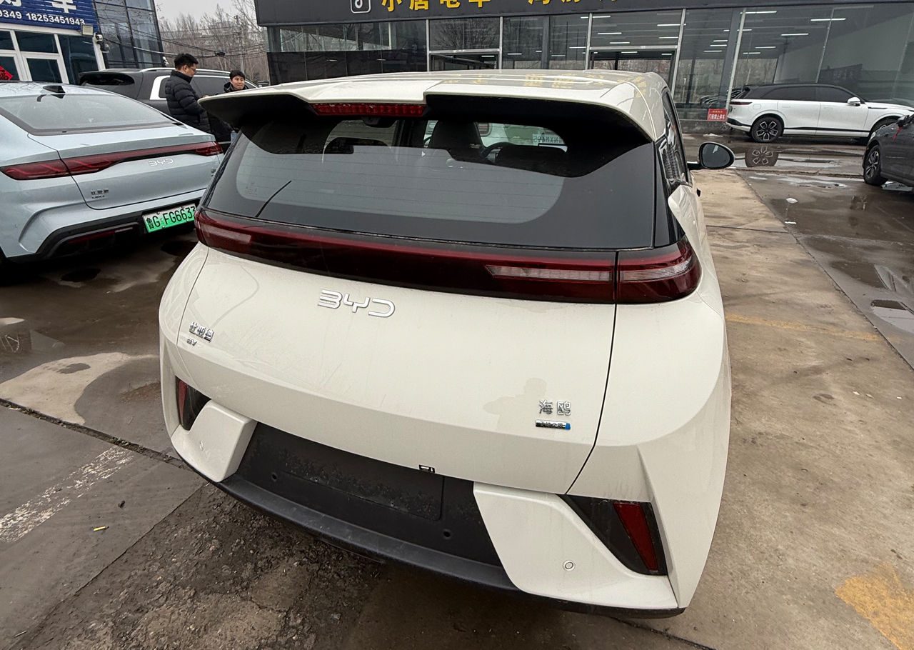 BYD Seagull 2025