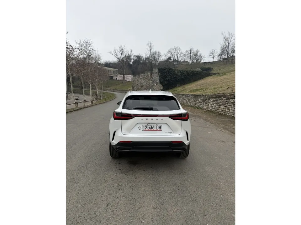 Lexus NX 350 2022 — миниатюра 2