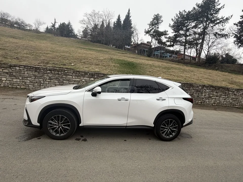 Lexus NX 350 2022 — миниатюра 3