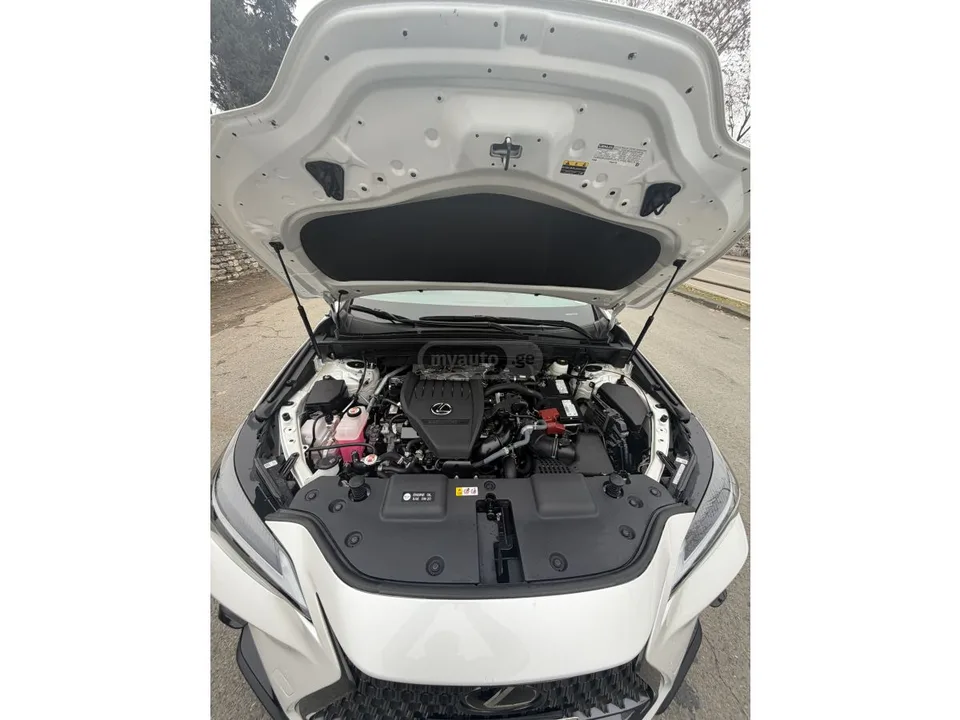 Lexus NX 350 2022 — миниатюра 4