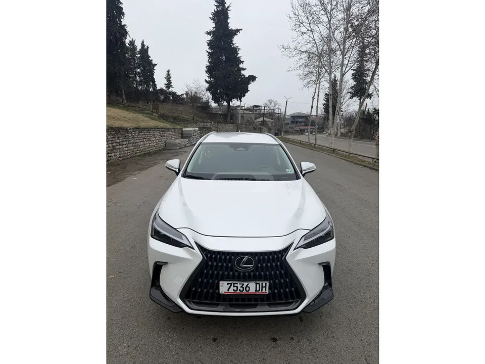 Lexus NX 350 2022 — фото 1, купить с доставкой в Москву