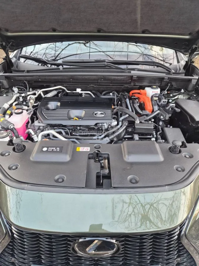 Lexus NX 450 2023 — миниатюра 5