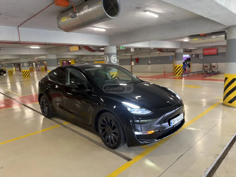 Tesla Model Y Dual motor performance 2025 — миниатюра 4