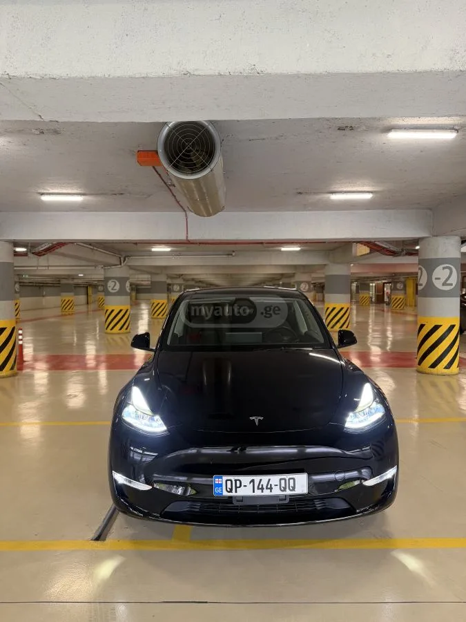 Tesla Model Y Dual motor performance 2025 — миниатюра 5