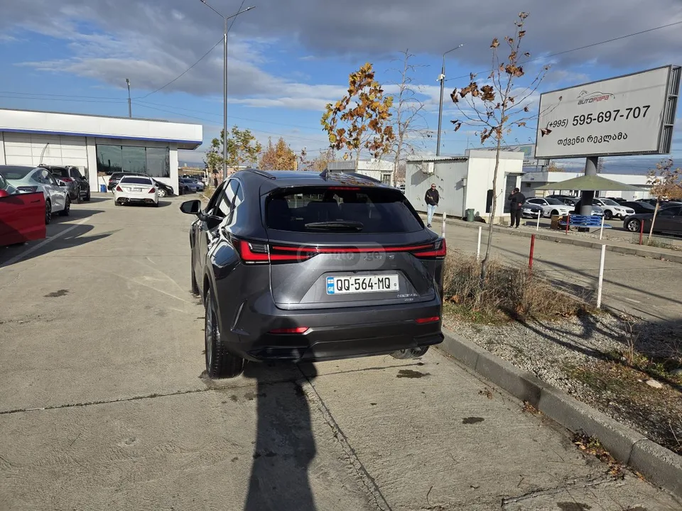 Lexus NX 350 2022 — миниатюра 3