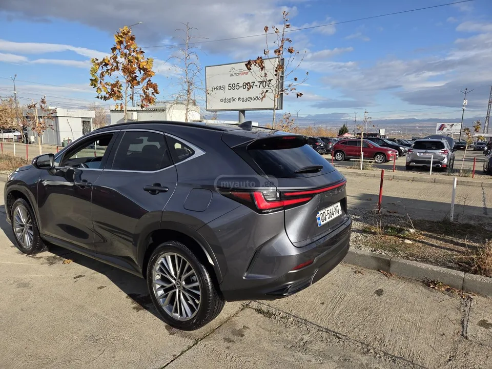 Lexus NX 350 2022 — фото 1, купить с доставкой в Москву
