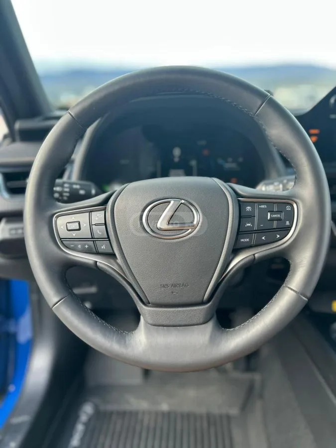 Lexus UX 250h UX300H - 196HP Hybrid 2025 — миниатюра 4