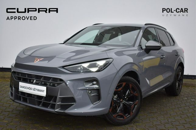 Cupra Terramar 2024