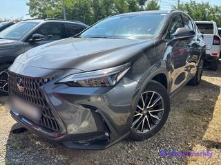 Lexus NX 2023