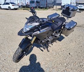 Daytona Dymoto 2025