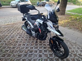 Barton GT 2024