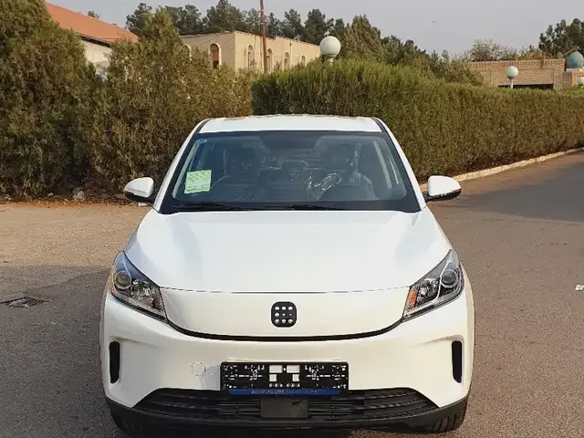Dongfeng Landian E5 2023 — фото 1, купить с доставкой в Москву