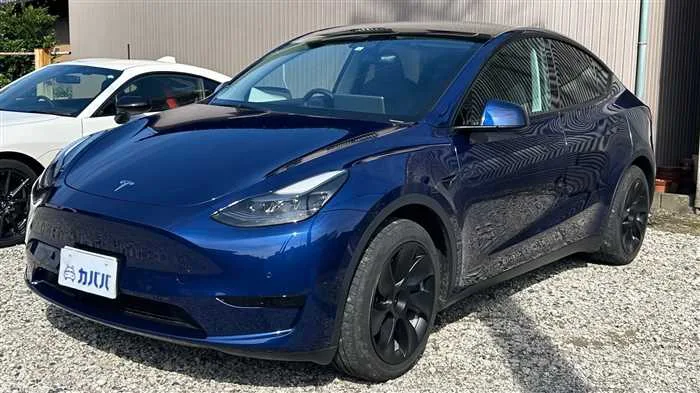 Tesla Motors Others RWD 2022 — фото 1, купить с доставкой в Москву