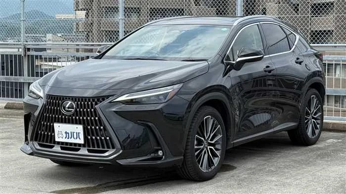 Lexus NX 350h L 2023 — фото 1, купить с доставкой в Москву