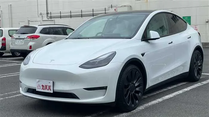 Tesla Motors Others 2022 — фото 1, купить с доставкой в Москву