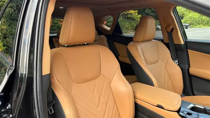 Lexus NX 250 L 2023 — миниатюра 3