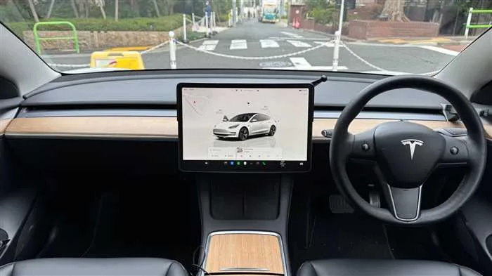 Tesla Motors Others RWD 2022 — миниатюра 2