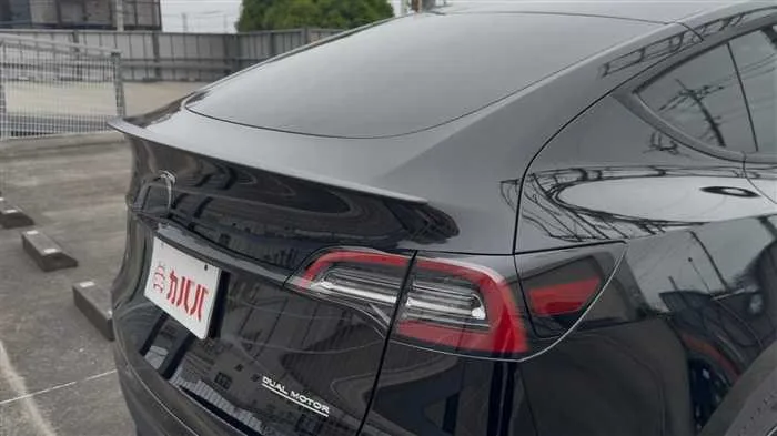 Tesla Motors Others 2023 — миниатюра 3