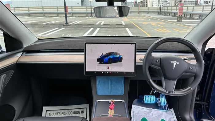 Tesla Motors Others 2022 — миниатюра 3