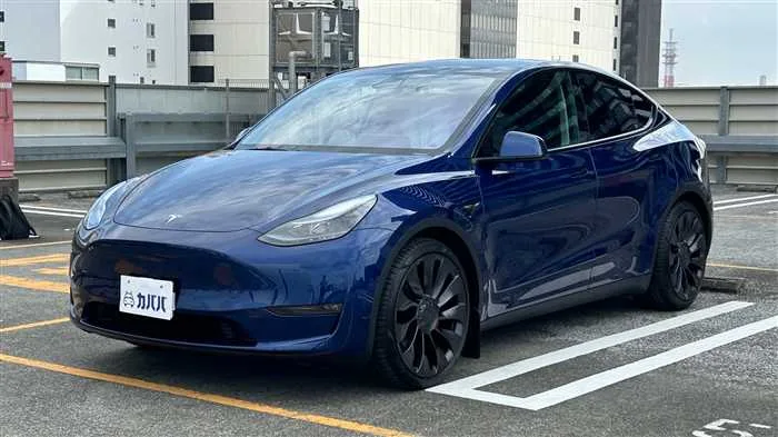 Tesla Motors Others 2022 — фото 1, купить с доставкой в Москву