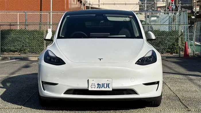Tesla Motors Others 2024 — миниатюра 2