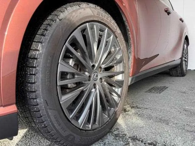 Lexus RX 2023 — миниатюра 5