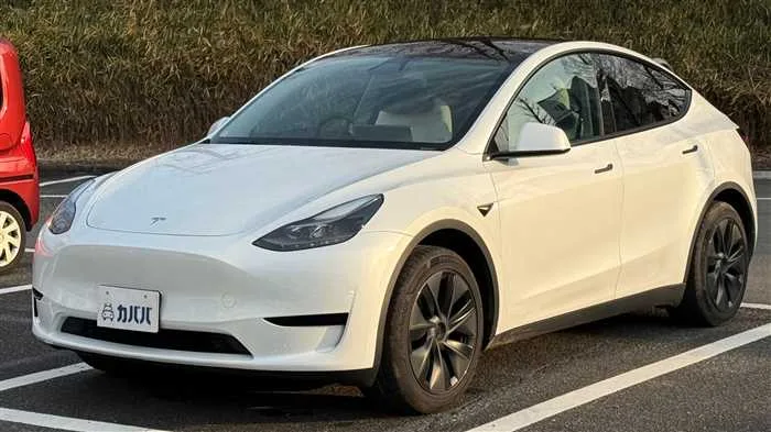 Tesla Motors Others RWD 2025 — фото 1, купить с доставкой в Москву