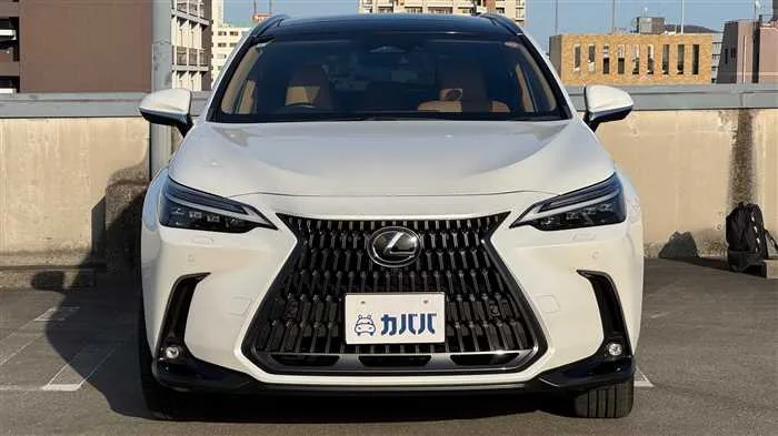 Lexus NX 350h L 2023 — миниатюра 2