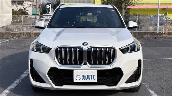 BMW BMW Others xDrive 30 2023 — миниатюра 2