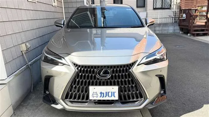 Lexus NX 350h 2022 — миниатюра 2