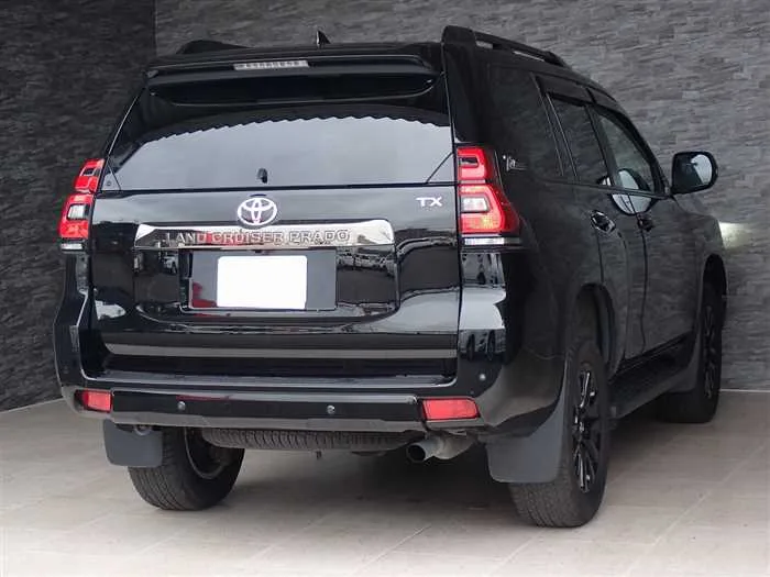 Toyota Land Cruiser Prado TX-L Anniversary Limited 2022 — миниатюра 5
