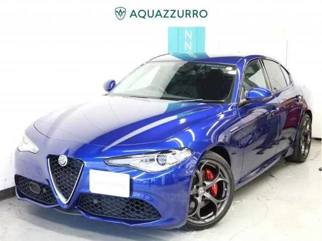 Alfa Romeo Alfa Romeo Others 2022 — фото 1, купить с доставкой в Москву