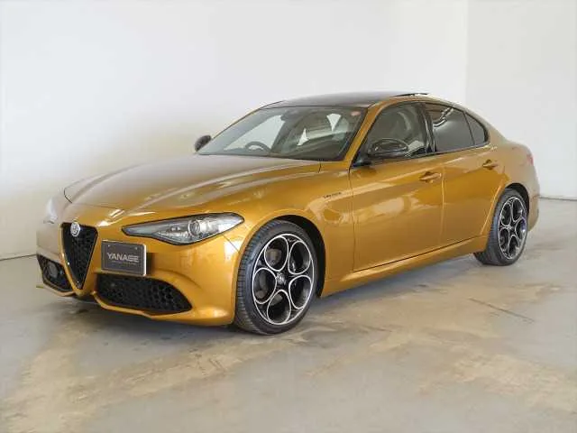 Alfa Romeo Alfa Romeo Others 2022 — фото 1, купить с доставкой в Москву