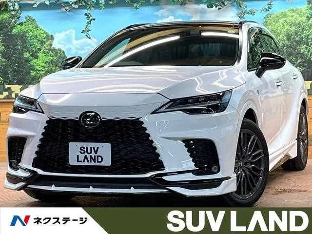 Lexus RX 2023 — фото 1, купить с доставкой в Москву