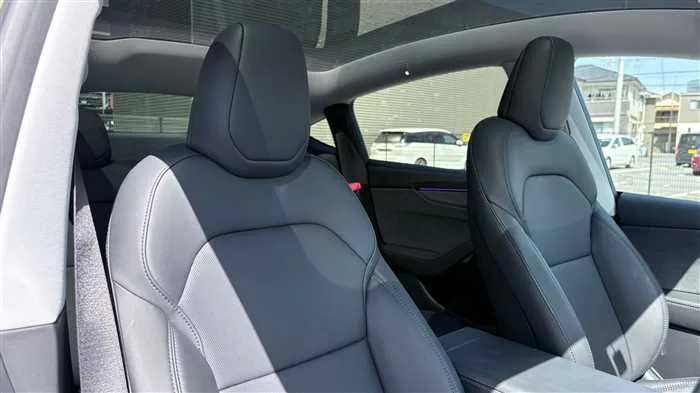 Tesla Motors Others 2025 — миниатюра 3