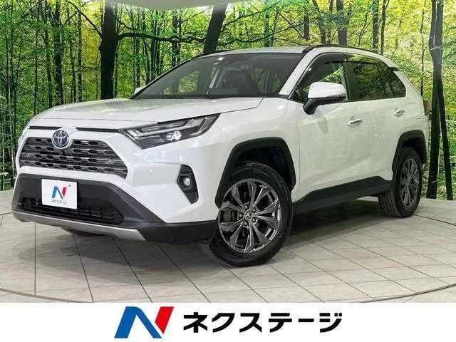Toyota RAV4 2023 — фото 1, купить с доставкой в Москву