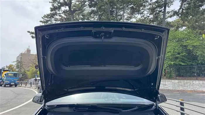 Tesla Motors Others 2026 — миниатюра 4