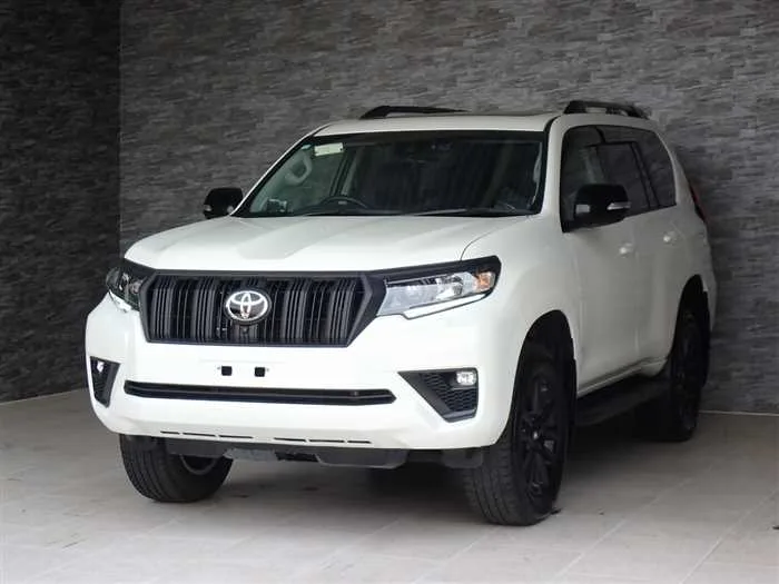 Toyota Land Cruiser Prado TX-L Matte Black Edition 2023 — фото 1, купить с доставкой в Москву