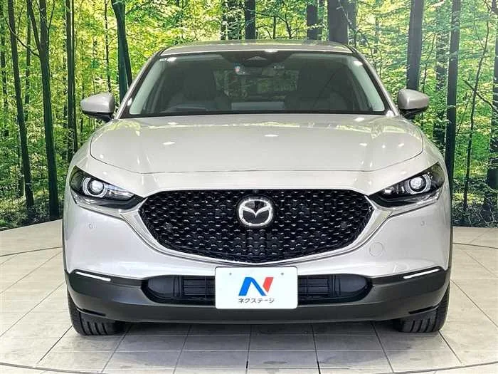 Mazda Mazda Others 2024 — миниатюра 5