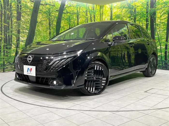 Nissan Nissan Others 2024 — фото 1, купить с доставкой в Москву